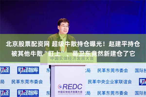 赵建平与赵吉的最新持股动向曝光