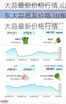 山东大葱最新价格走势解析