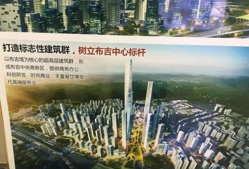 布吉新区成立，最新新闻报道揭晓重磅消息