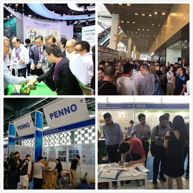 新五丰最新动态引领行业创新，助推企业腾飞发展