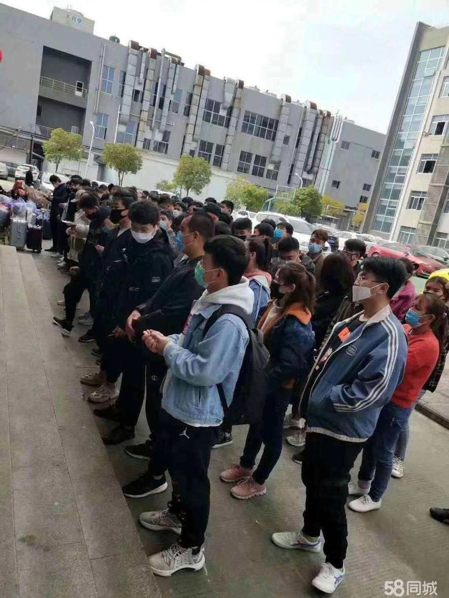 南京临时工日结，探索与体验之旅